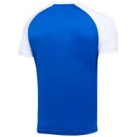 Футболка игровая CAMP Reglan Jersey JFT-1021-071, синий/белый